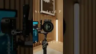 Should You Film in Standard or S-Cinetone? 🎥