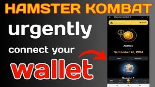 Hamster Kombat Wallet Link||Hamster Kombat lunchdate||Hamster Kombat Withdraw🤑 #shorts #cryptoranjib