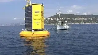 La Côte-d'Azur teste un dispositif de détection de méduses