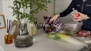 # 130 専業主婦の日常，体調の波と家事，簡単一人ごはんと夫に作る夕食，愛犬のお手入れ