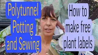 Polytunnel Potting and Sewing Seeds  (How to Make Free Plant Labels)