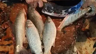 Mayurbhanj Bata Fish Cutting Skills 🔥 Indian Fish Cutting Style #Stylish Fish Cutting