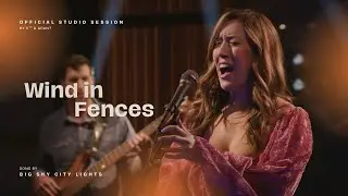 WIND IN FENCES