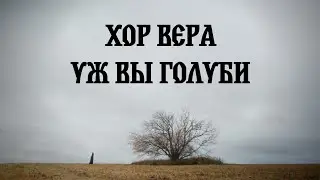 6 ноября 2024 г.