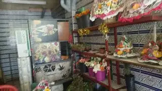زيارة إلى الجميلة الصغيرة في مستشفى الشيخ خليفة 🎁