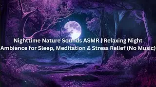 Night Ambience ASMR | Nature Sounds for Deep Sleep #NighttimeASMR #NatureSounds #NoMusicASMR
