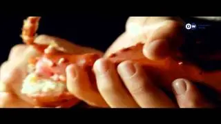 hisham turk ads