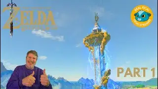 Zelda: BOTW freak accident Zelda 1 #zelda #breathofthewild