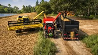 A MAIOR COLHEITA QUE JÁ FIZ no FS 22 Brasil 🇧🇷🌾 série fazenda bom sucesso ep 06 