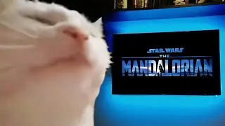 Watching The Mandalorian Credits Be Like...
