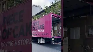 NYC Moving Day with Dina Zolan 🗽🍰