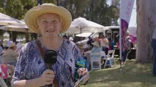 Do you have lived experience of ageism?