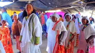 እረ ደስ ክብላ ዘን #ዋሓላሉ#tigray traditionalwedding #music#song#dancing#part7