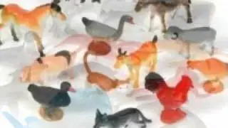 Novel Toy Company LTD - Cheap Toys Vancouver