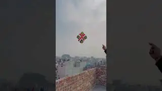 Biggest guda basant 2024 #kiteculture #kiteflying #basantkiteflying #outdooractivity #basant #music