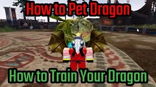 How to Pet Dragon in How to Train Your Dragon Roblox