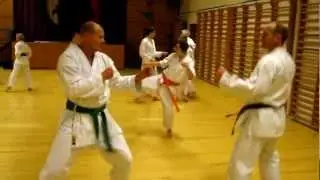 Genseiryu Karate Virum