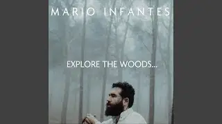 Explore the Woods...
