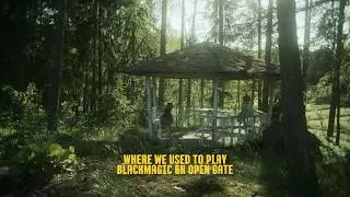 Blackmagic Raw Open Gate | 6K Full Frame Cinematic Look