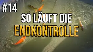Inside teichjuwelen 14 - So l&auml;uft unsere Endkontrolle