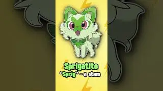 Get to Know The New Starter Pokemon! | Pok&eacute;mon Scarlet and Violet