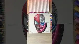 Dibujando a SPIDERMAN pero en 4 ESTILOS 🤩 #spiderman #drawing #dibujos