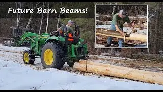 Hand-Peeling & Skidding White Pine Logs