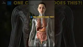 One Cigarette Destroys Your Lungs 🚬🫁 #SmokingEffects