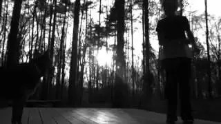 woodland stage