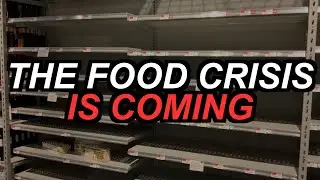 The Coming Food Crisis No One Is Talking About | Future Explained
