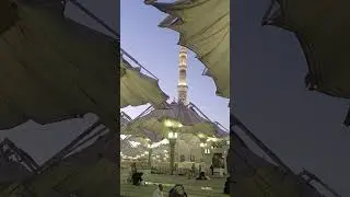 umrah visa 2025 latest updates|Good news and bed news for umrah visa|Arab news update