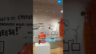 Harris Museum and Art Gallery reopening