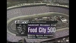 1998 NASCAR Winston Cup Series Food City 500 At Bristol Motor Speedway