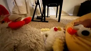 The Sleepover