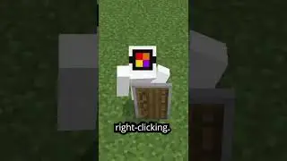 Bedrock Shields are BETTER than Java Ones