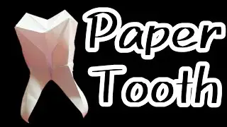 DIY|How to Fold an Origami Tooth|Only Folding