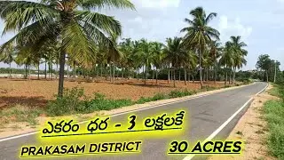 Acre -3 Lks || 30 Acres Agriculture land for sale | praksham district| Markapuram || red soil land |