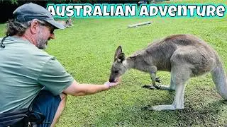 Queensland and Central Coast Australia | Sydney | Humpback Whales, Kangaroos, Flying Foxes, etc 🇦🇺