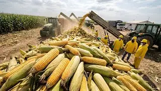 Inside the Popcorn Factory – How Giant Corn Exploded into a Global Snack Empire (Behind the Scenes)
