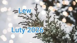 Lew ♌