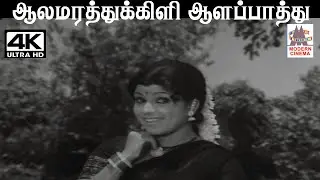 Aalamarathu Kili வாணி ஜெயராம் பாடிய பாடல் ஆலமரத்து கிளி ஆளப்பாத்து பேசும் கிளி