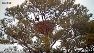 Berry College Eagles~Pa Gives Missy Last Break For the Day_3/4/24