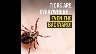 How to protect yourself against ticks.