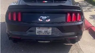 Ecoboost Sound MBRP Installer Series Cat-Back Exhaust with Y-Pipe; Race Version