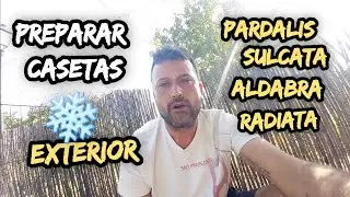 Preparar REFUGIO casetas EXTERIOR Tortugas que NO HIBERNAN#BRUMAR#SULCATA#PARDALIS#ALDABRA#
