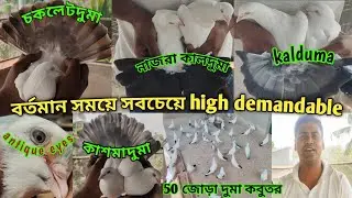 সম্রাট হালদার কবুতর লফ্ট সোনারপুর/Samrat Halder kabootar loft visit at Sonarpur #sale @The sky birds