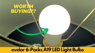 These Evelor LED bulbs are super bright and energy-saving &ndash; see them light up every room