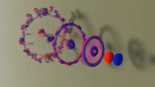 (SIGGRAPH 2019)Efficient and Conservative Fluids Using Bidirectional Mapping