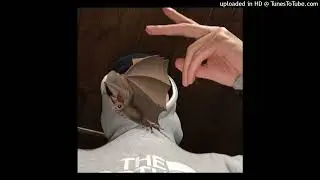 icynico - PATA60NIA 2021 (prod. emirsito & 1eloyyy)