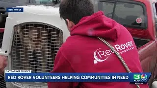 Sacramento's Red Rover marks 300 deployments aiding animals